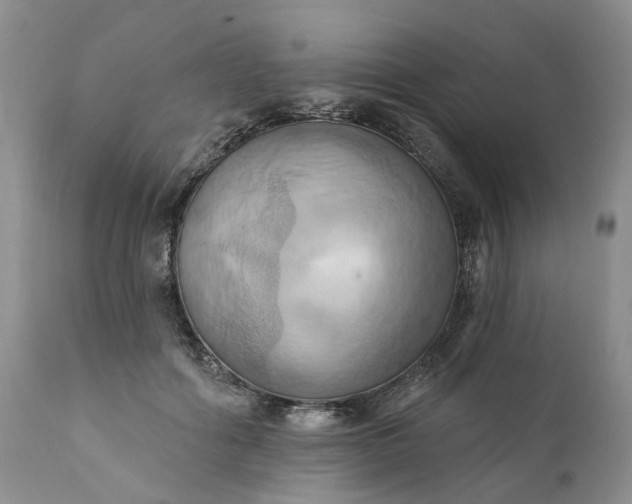 X0000111360602200907241224