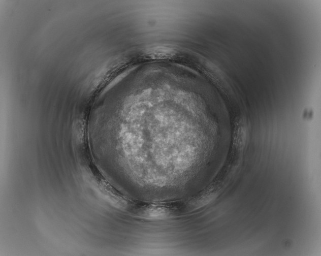 X0000111360604200907241224