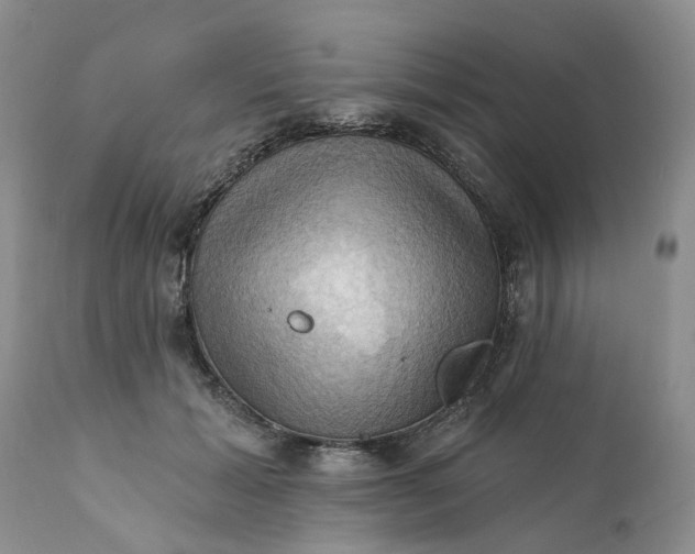 X0000111360605200907241224