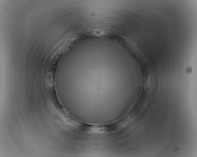 X0000111360606200907241224