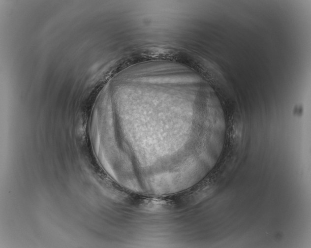 X0000111360607200907241224