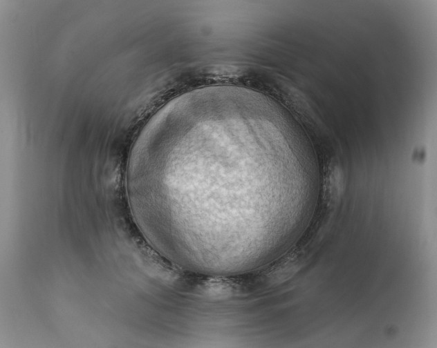 X0000111360608200907241224