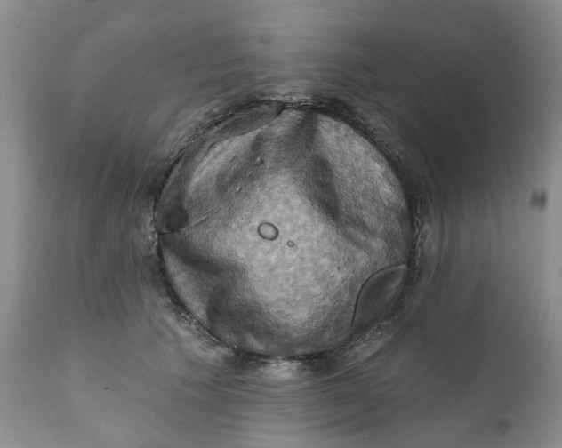 X0000111360609200907241224