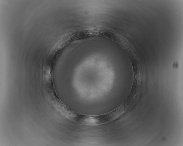 X0000111360610200907241223