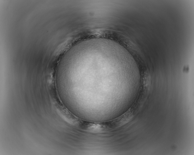 X0000111360611200907241223