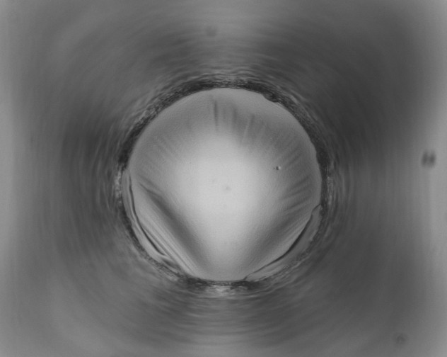 X0000111360613200907241223