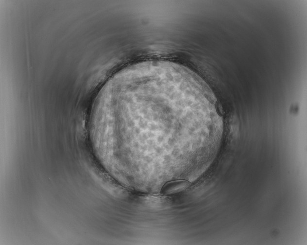 X0000111360615200907241223