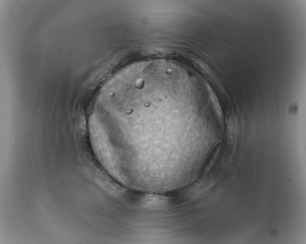 X0000111360617200907241223