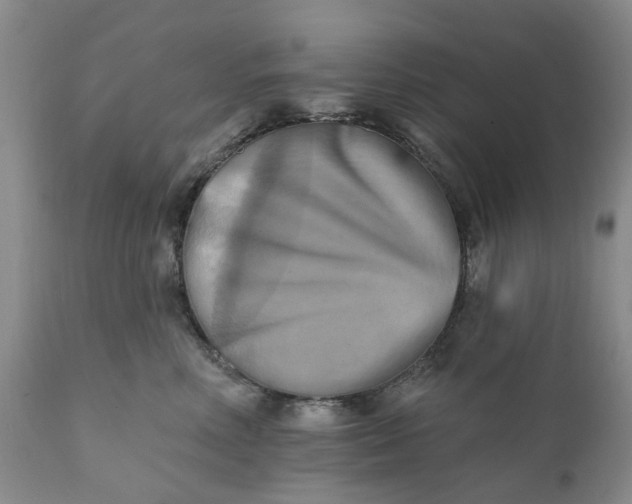 X0000111360618200907241223