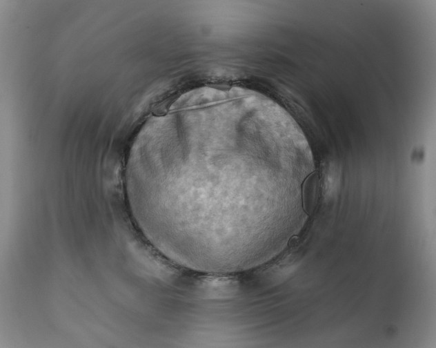 X0000111360619200907241223