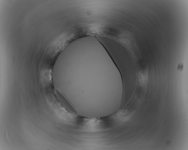 X0000111360621200907241223