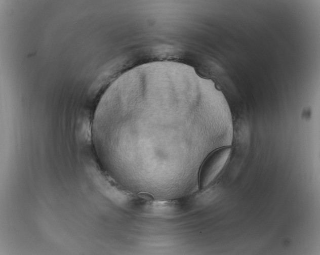 X0000111360622200907241223