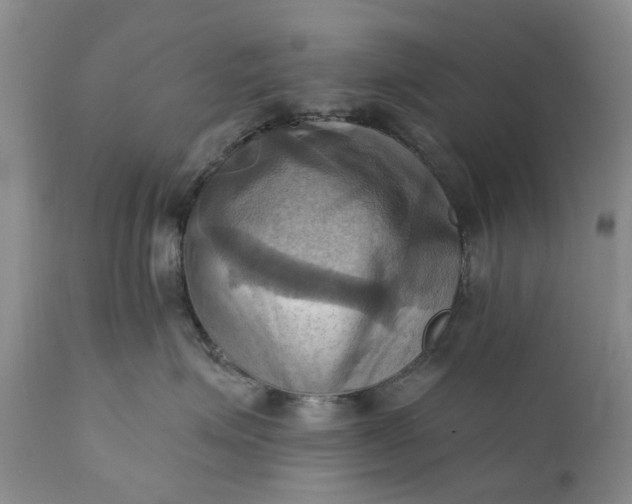 X0000111360623200907241223