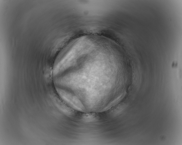 X0000111360624200907241223