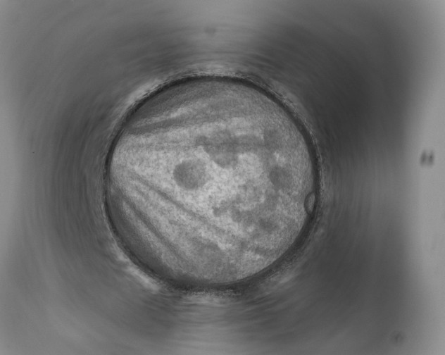 X0000111360625200907241223