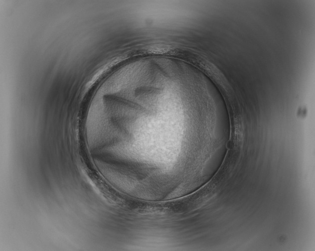 X0000111360626200907241223
