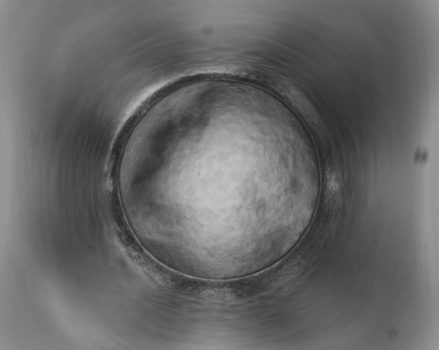 X0000111360628200907241223