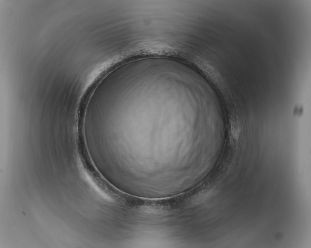 X0000111360630200907241223