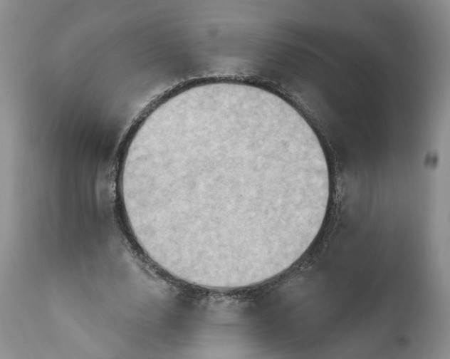 X0000111360632200907241223
