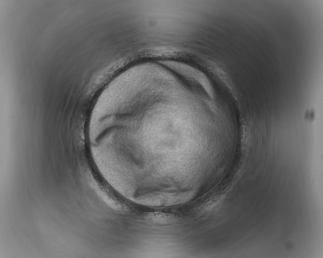 X0000111360633200907241223