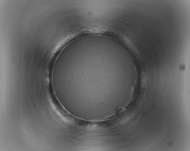 X0000111360634200907241223