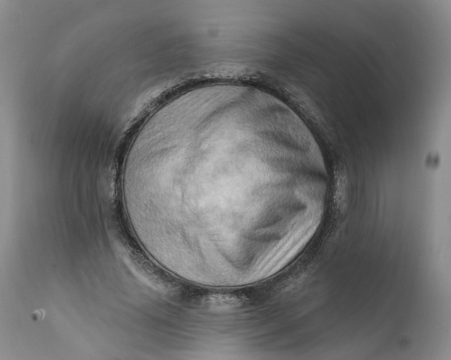 X0000111360636200907241223