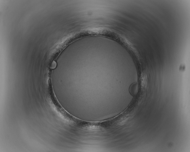 X0000111360637200907241223