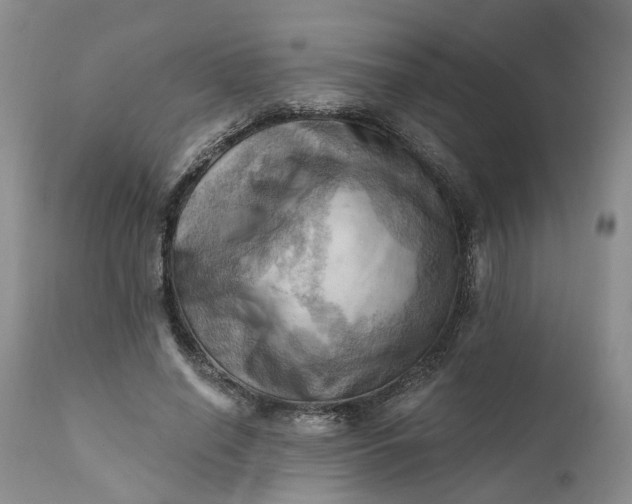 X0000111360638200907241223