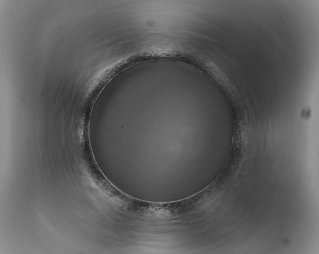 X0000111360640200907241223