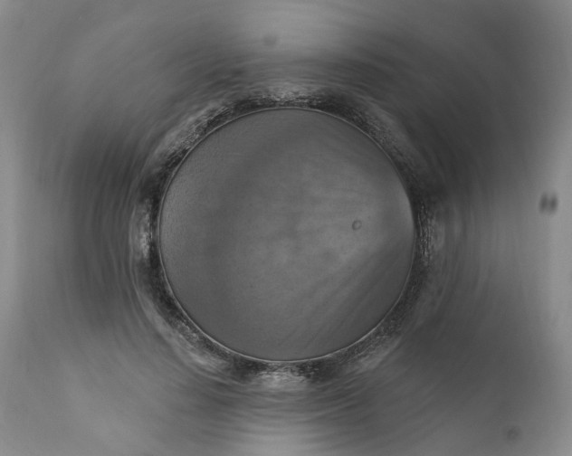 X0000111360644200907241223