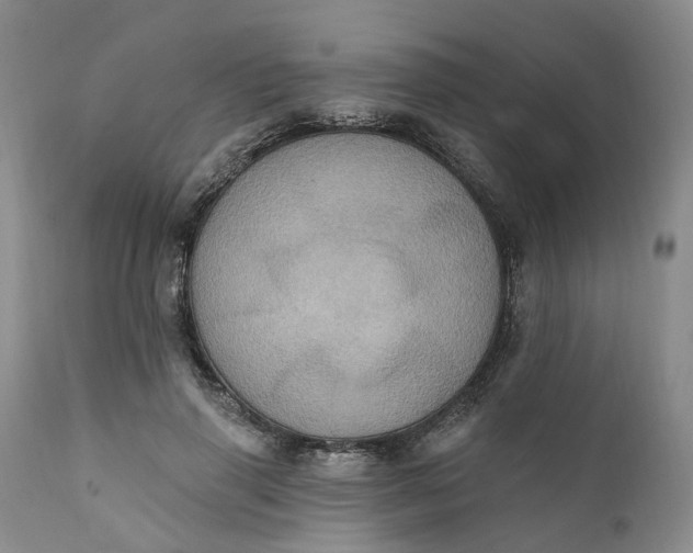 X0000111360645200907241223