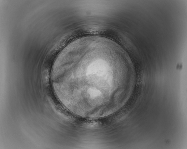 X0000111360646200907241223