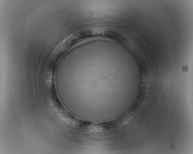 X0000111360648200907241223