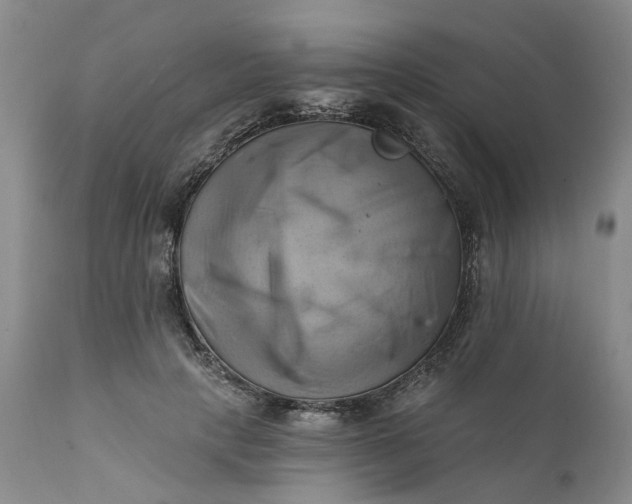 X0000111360649200907241223