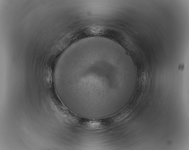 X0000111360651200907241223