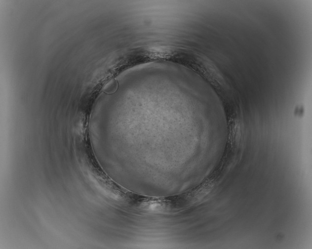 X0000111360655200907241223