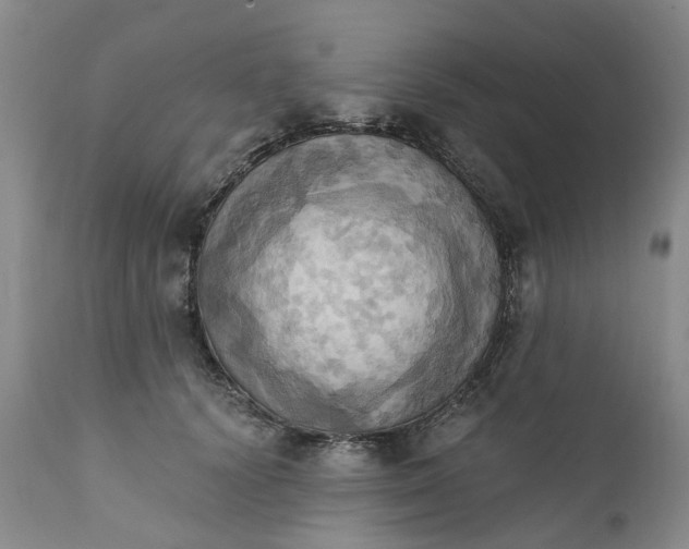 X0000111360656200907241223