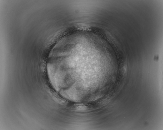 X0000111360658200907241223