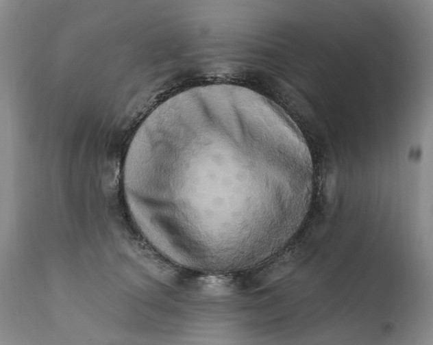 X0000111360660200907241223