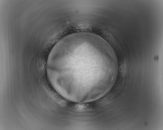 X0000111360662200907241223