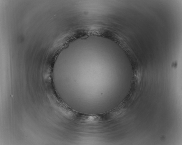 X0000111360663200907241223