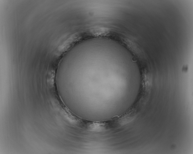 X0000111360664200907241223
