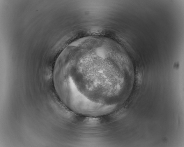 X0000111360665200907241223