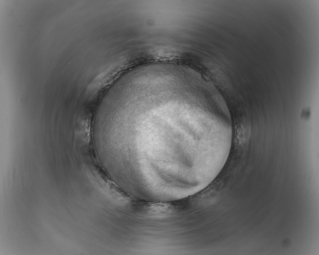X0000111360666200907241223