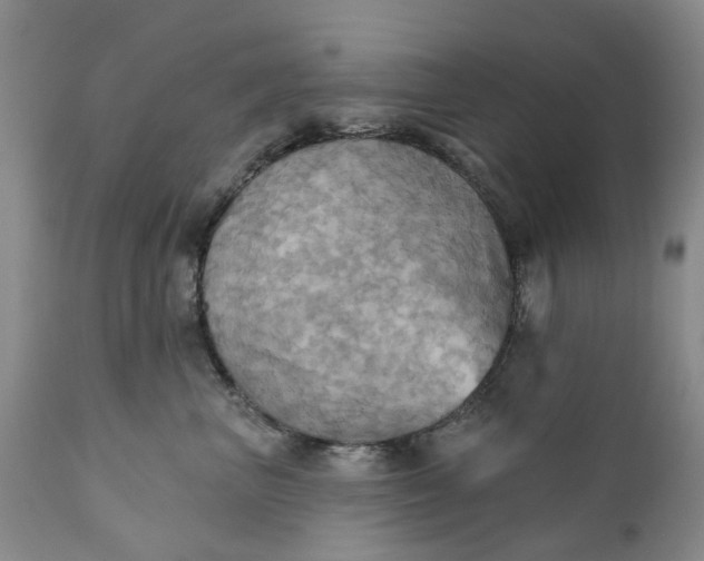 X0000111360667200907241223