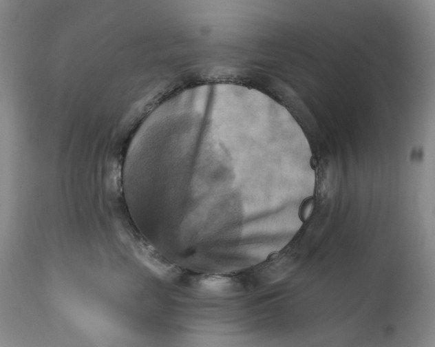 X0000111360669200907241223