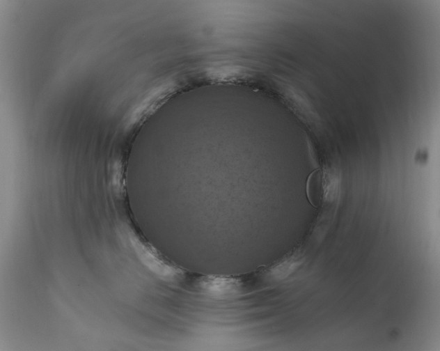 X0000111360670200907241223