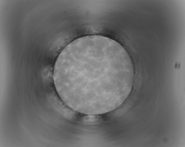 X0000111360672200907241223