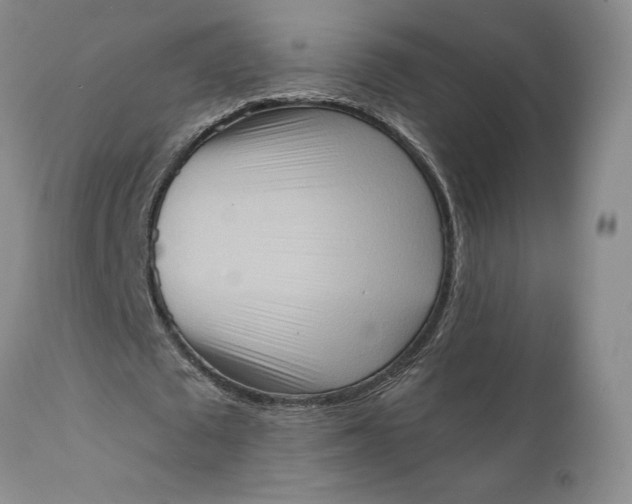 X0000111360673200907241223