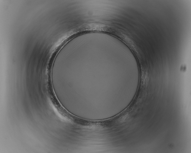X0000111360674200907241223